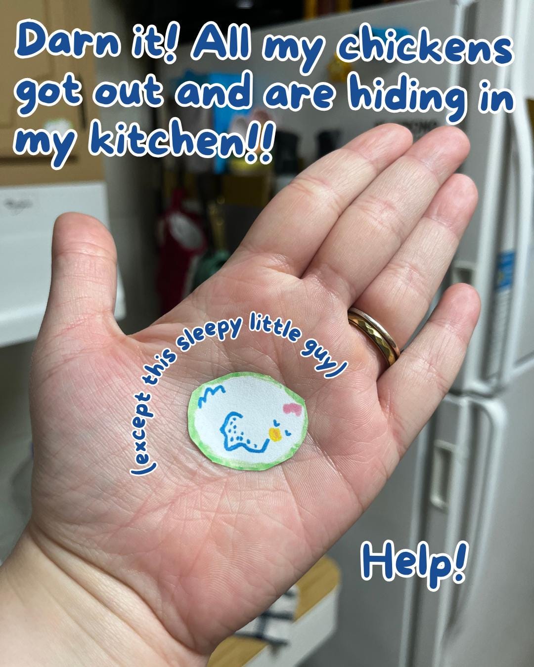 The Coop Collection Sticker Set